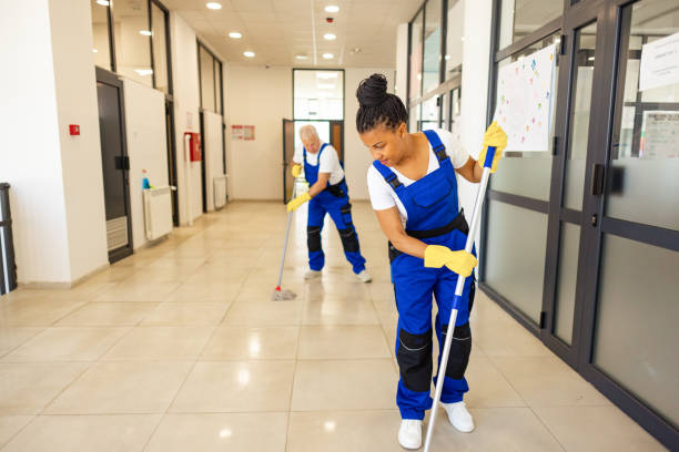 Why Apt Cleaning Services Are Honestly a Lifesaver Apt Cleaning Services